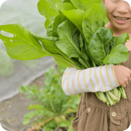 子供が野菜を抱える様子